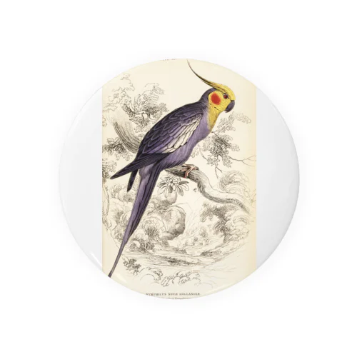 博物画　オカメインコ Tin Badge