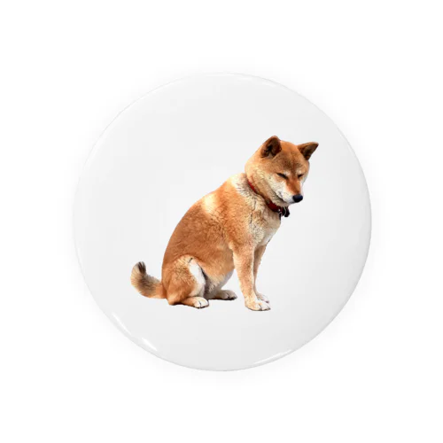 伏せ目がちにおすわり柴犬 Tin Badge