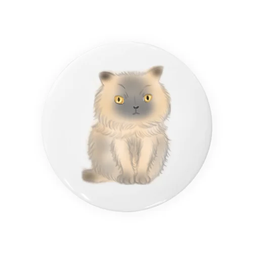 ヒマラヤン 猫 ポール ふわふわ　優しい猫です Tin Badge