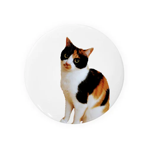 三毛猫リネンちゃん Tin Badge