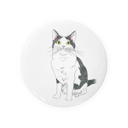 猫のくるり Tin Badge