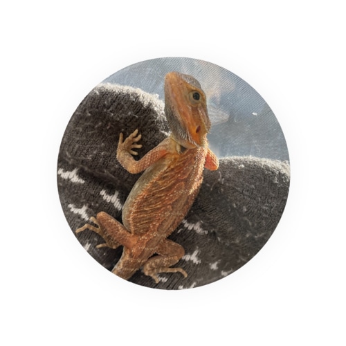 ねぎ Tin Badge