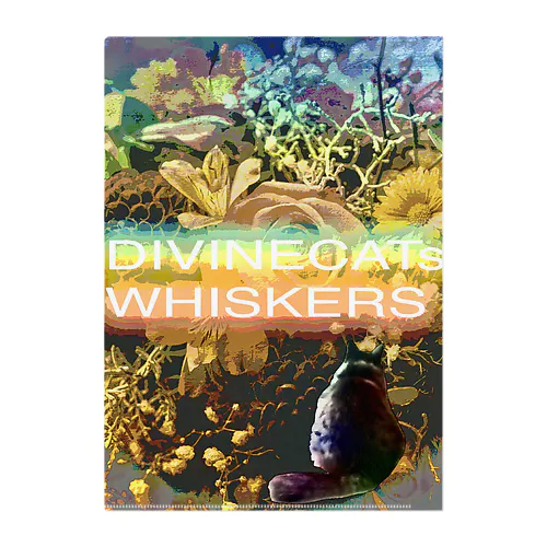 DIVINECATsWHISKERS Clear File Folder