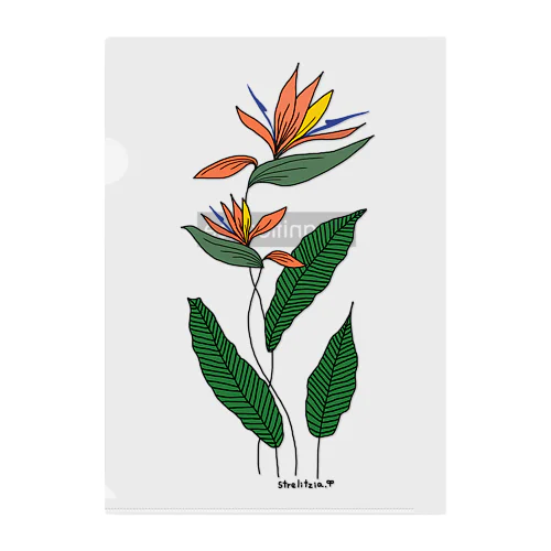 Bird of Paradise Clear File Folder