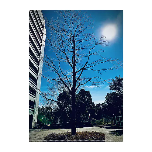 木と太陽 クリアファイル