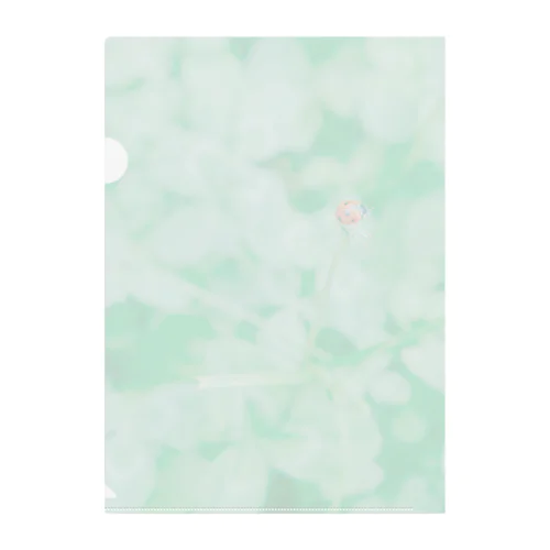 clover and ladybag  Clear File Folder