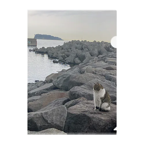 猫と海と猿島 Clear File Folder