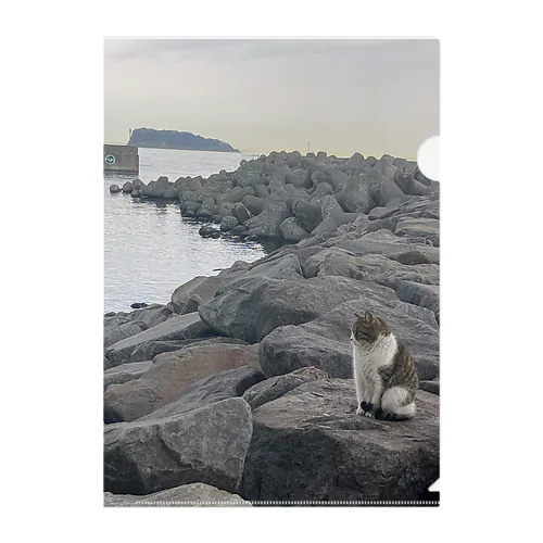 猫と海と猿島 클리어파일