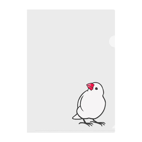 見上げる白文鳥 クリアファイル