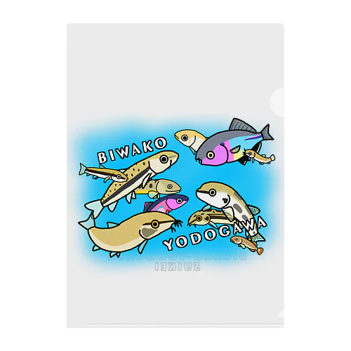 琵琶湖淀川水系の淡水魚たち Clear File Folder