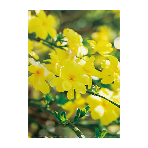 癒しの風景（オウバイ） Clear File Folder