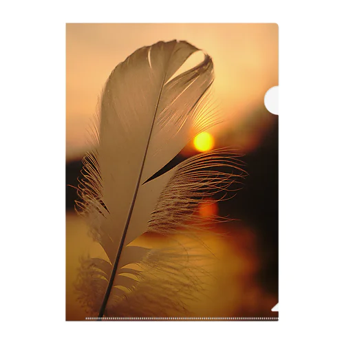 Sunset Bird Clear File Folder