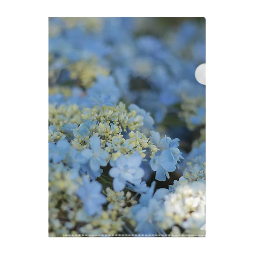 日影の紫陽花 Clear File Folder