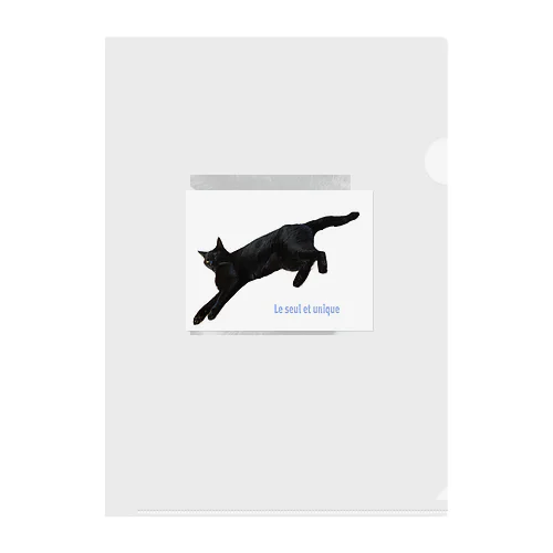 きょうの黒猫 クリアファイル