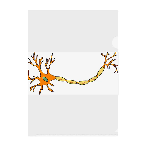 神経細胞 クリアファイル