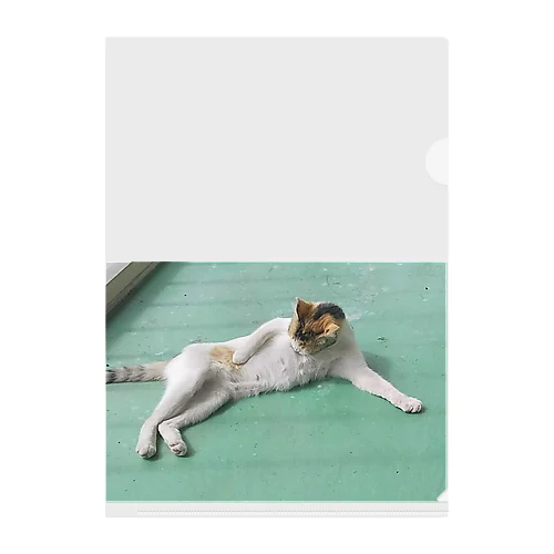 野良猫たまりん Clear File Folder