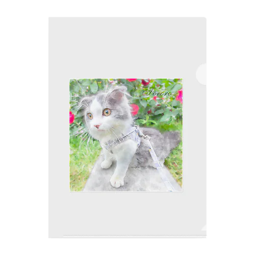 scottishfold_tororo Clear File Folder