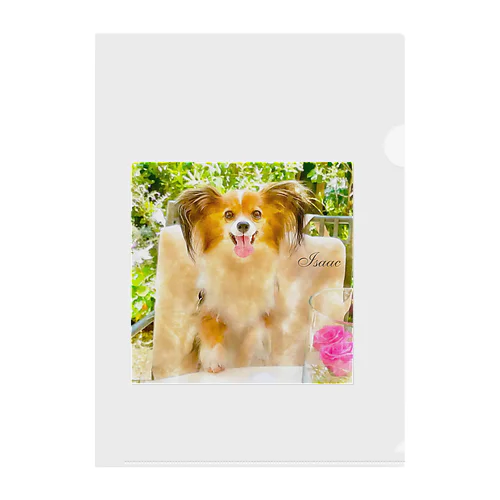 isaac_dogstagram Clear File Folder