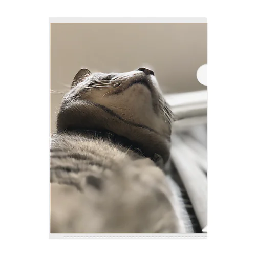 猫の顎 クリアファイル