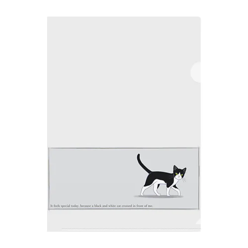 猫が目の前を横切った（ハチワレ猫+三毛猫） Clear File Folder