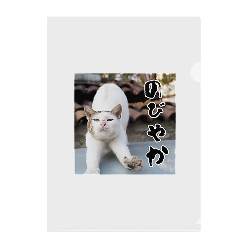 のびやかな猫 Clear File Folder