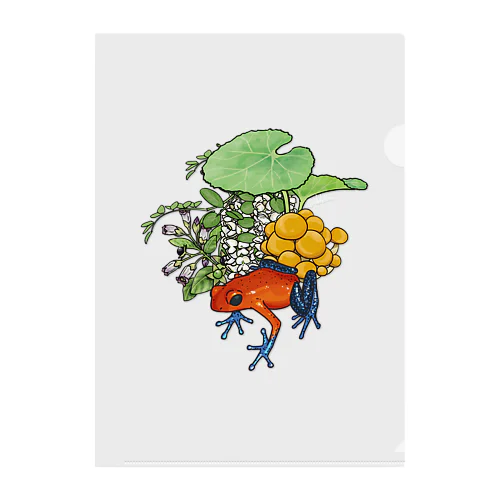 有毒動植綵絵 ヤドクガエル クリアファイル