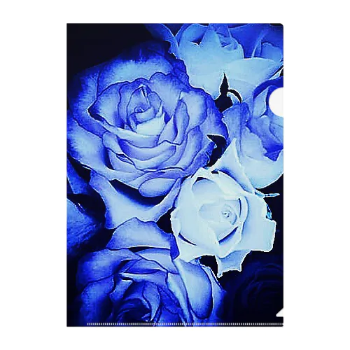 BLUE Rose Clear File Folder