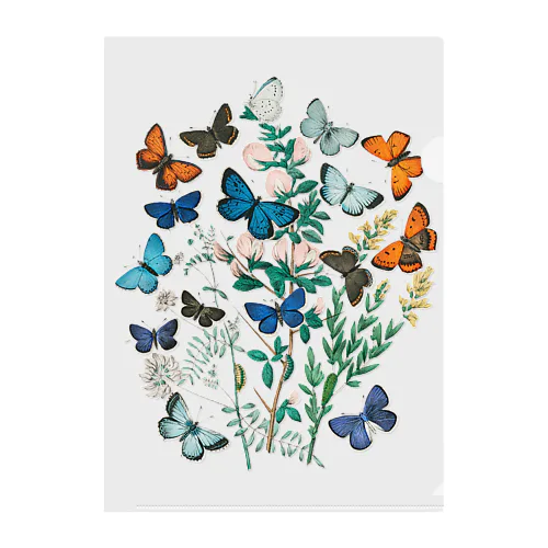 butterfly Clear File Folder