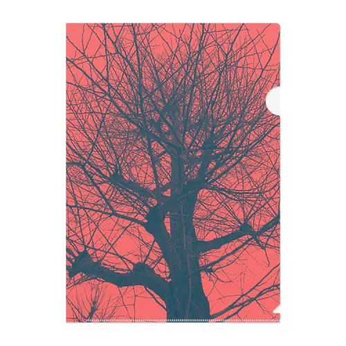 Winter Tree Clear File Folder