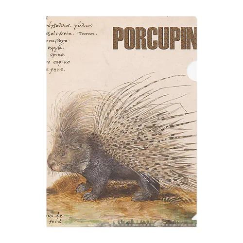 PORCUPINE　ヤマアラシ クリアファイル