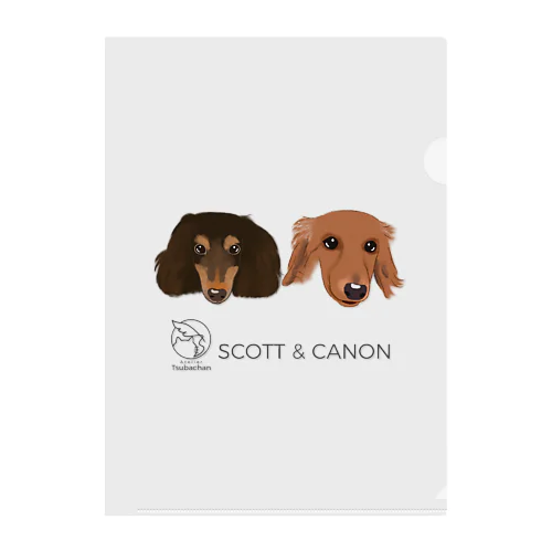 SCOTT,CANON クリアファイル