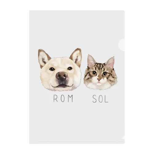 rom & sol Clear File Folder