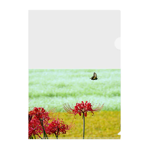 秋の風景 Clear File Folder