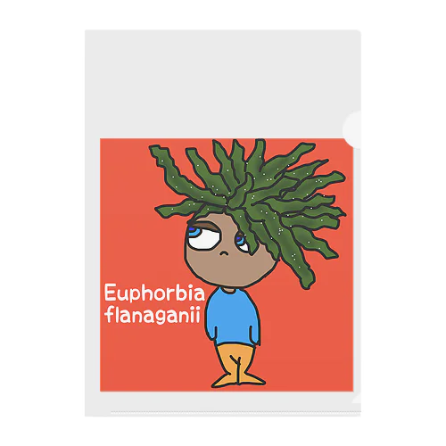 Euphorbia flanaganii  Clear File Folder