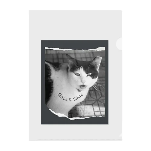 Cat Clear File Folder