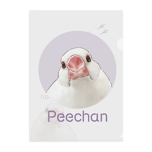 2 Clear File Folder