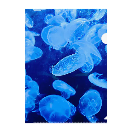 《水中遊びPictures》Jellyfish blue Clear File Folder