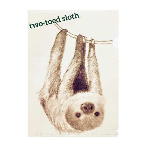 two-toed sloth クリアファイル