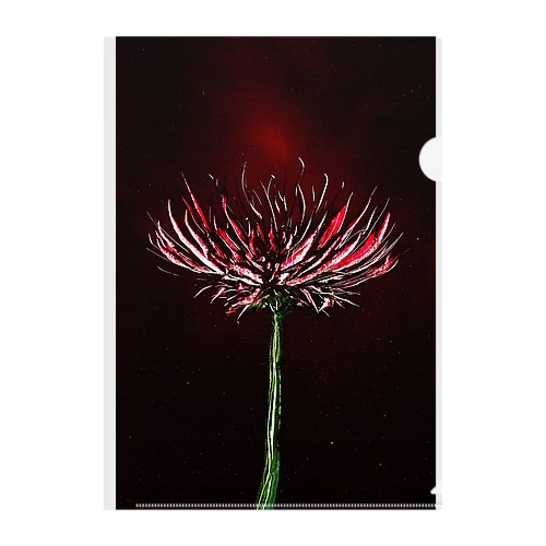 赤い花 Clear File Folder