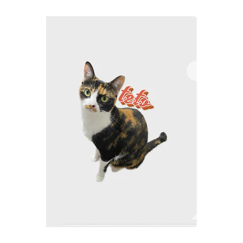 三毛猫teto Clear File Folder