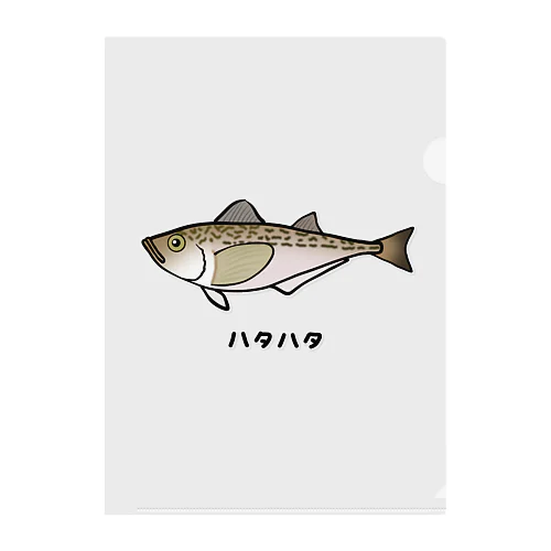 【魚シリーズ】ハタハタ♪221208 Clear File Folder