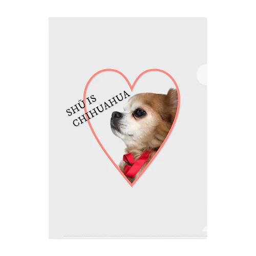 SHŪ IS CHIHUAHUA HEART クリアファイル