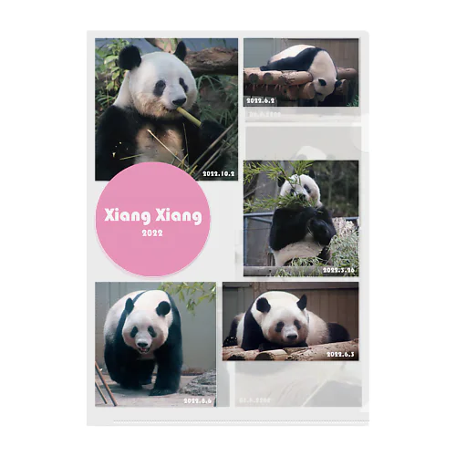 xiang xiang memorial 2022 Clear File Folder