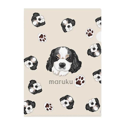 maruku Clear File Folder