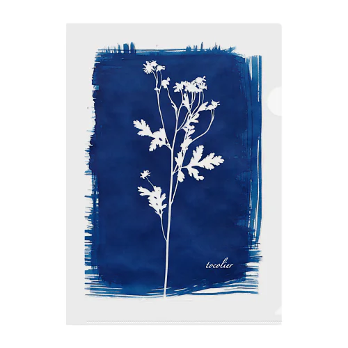 Cyanotype "matricaria" Clear File Folder