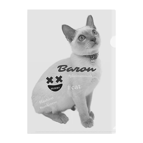 BARON Clear File Folder