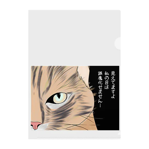 見えてますよ Clear File Folder