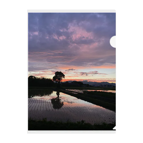 夕日の綺麗な夏 Clear File Folder