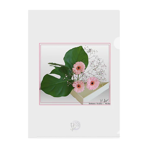 Gerbera in Pond [小物] - Ikebana Studio : Keika Clear File Folder