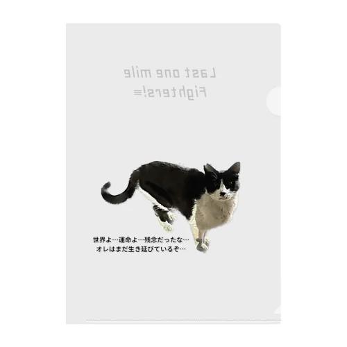 野良猫、生き延びる。 Clear File Folder